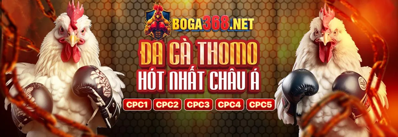 Banner quảng cáo các chương trình khuyến mãi hấp dẫn cho cá cược thể thao tại Vsbet link mới.