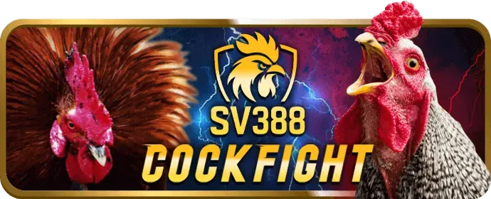 Quy tắc game casino Vsbet